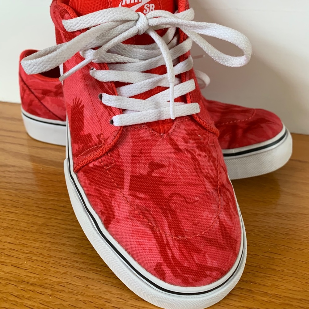 Nike SB Better World Edition